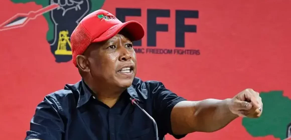 MALEMA’S CALL FOR ODINGA TO CONCEDE IS IGNORANT AND PREMATURE