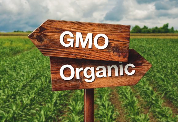 Kenya’s High Court Orders Halt of GMO Importation and Distribution Amid Raging Debate as Scientists Fight Disinformation