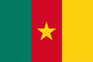 CAMEROON Flag