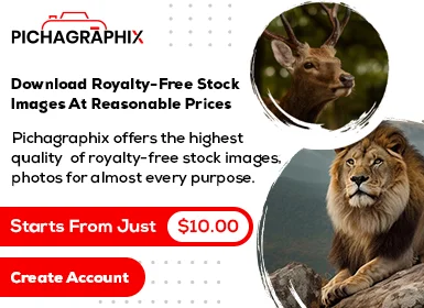 Pichagraphix Photo category