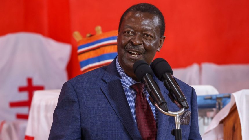 Mudavadi Sides with Suluhu in Kenya-Tanzania Tiff