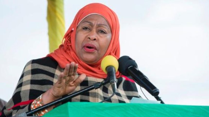 Suluhu Warns Foreign Activists Against ‘Meddling’