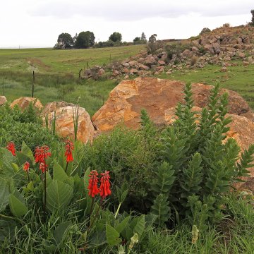 The Global Race to Save Biodiversity Risks Leaving Communities Behind The Global Race to Save Biodiversity Risks Leaving Communities Behind