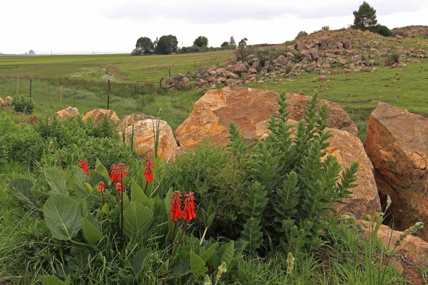 The Global Race to Save Biodiversity Risks Leaving Communities Behind