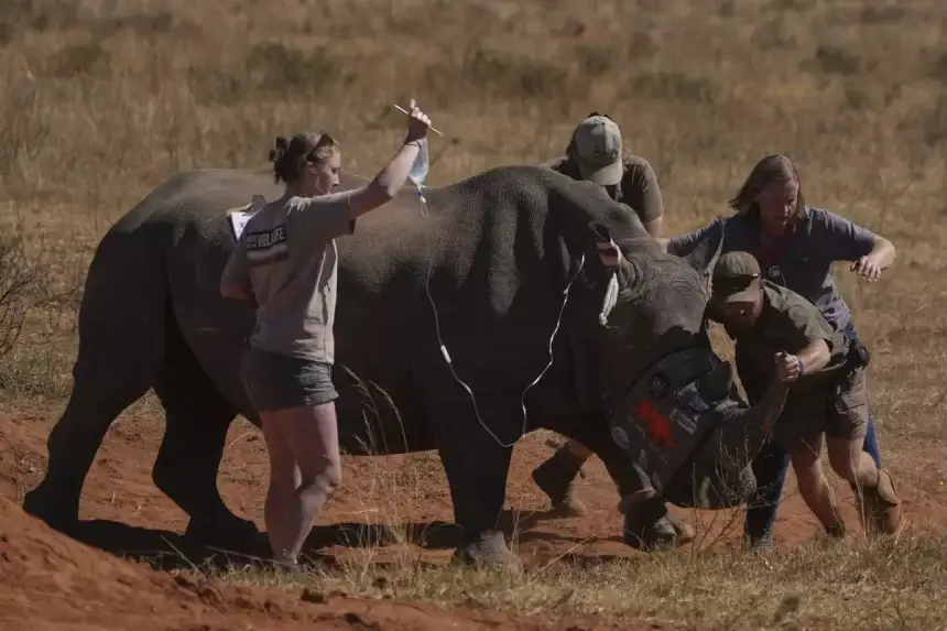 South African Scientists Launch Radioactive Anti-Poaching Drive