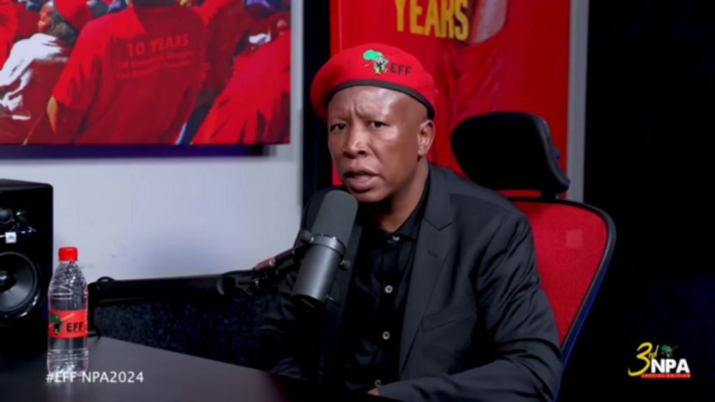 South African politician and leader of the Economic Freedom Fighters Julius Malema in 2024