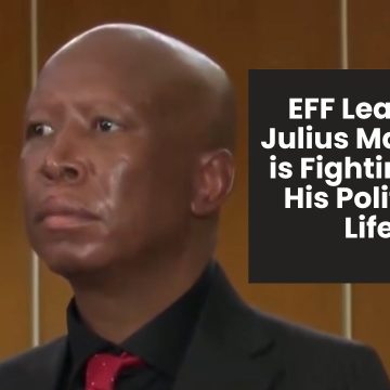 Malema’s five-year sentence sparks debate over justice and fairness. Malema’s five-year sentence sparks debate over justice and fairness.