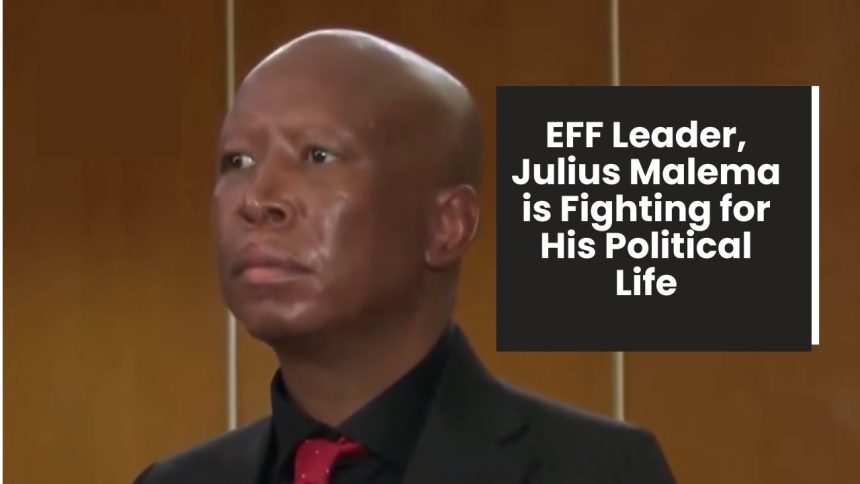 Malema’s five-year sentence sparks debate over justice and fairness.