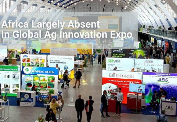 The Untapped Tech Potential of African Agriculture The Untapped Tech Potential of African Agriculture