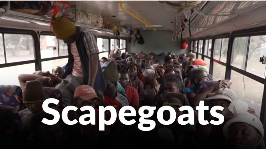 Anti-Migrant Myths in South Africa: What the Evidence Actually Shows