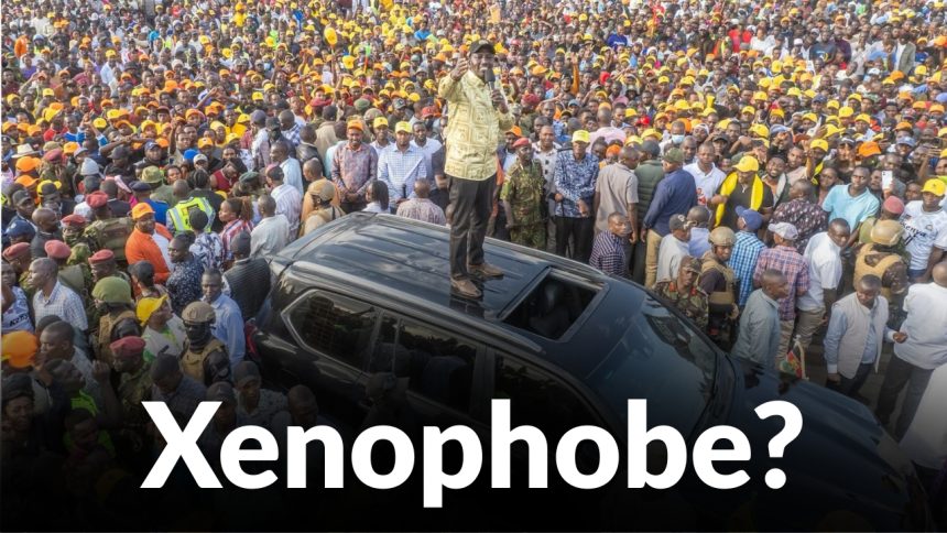Ruto’s Xenophobic War on Foreign Hawkers Is a Distraction From His Own Jobs Failure